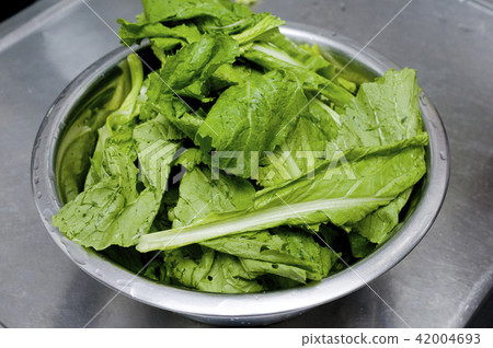 Underfoot of mustard 42004693