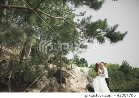 Wedding couple in love kissing and hugging near rocks on beautiful landscape Wedding couple in love kissing and hugging near rocks on beautiful landscape 42004700