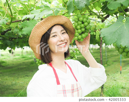 A woman with a hand on a grape vine grape A woman with a hand on a grape vine grape 42005333
