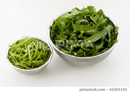 Leaves and stems of aka grease (Ensai) Leaves and stems of aka grease (Ensai) 42005350