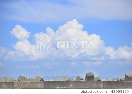 Summer sky / Shonan 42005533