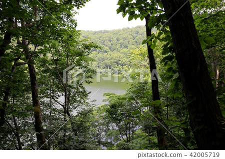 Hengchuncho Lake seen beyond the trees 42005719