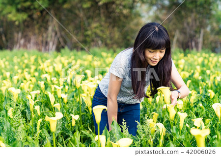 亞洲台灣台中外埔海芋田女子女人女孩肖像人像人物模特兒旅遊觀光 42006026