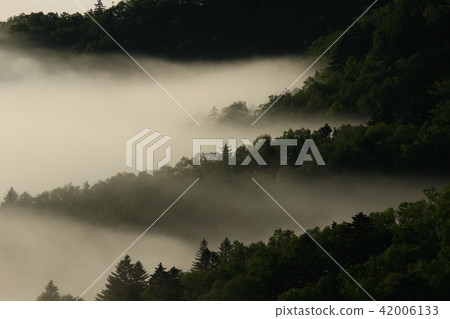 The beachfront of the sea of clouds (Hokkaido Tsunade Pass) The beachfront of the sea of clouds (Hokkaido Tsunade Pass) 42006133