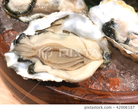 Fresh oyster 42006187