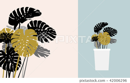 Monstera deliciosa or swiss cheese plant - Stock Illustration 