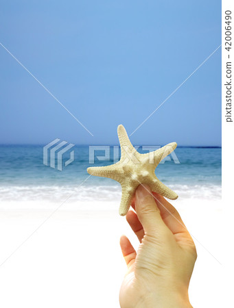 Summer background 42006490