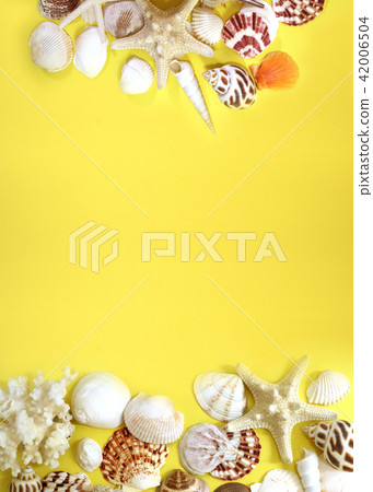 Summer background 42006504