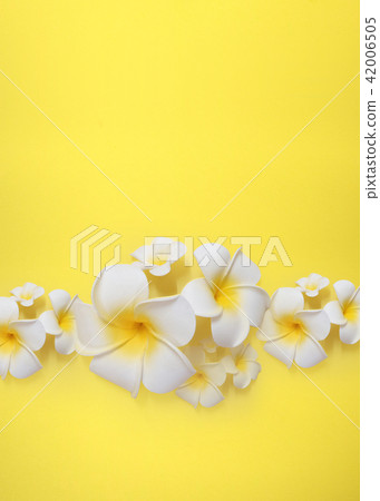 Summer background 42006505