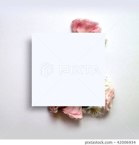 Floral background with frame and banner 42006934