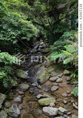 Warm East Canyon Keelung Valley Taiwan Nuandong Valley Warm East Canyon Keelung Valley Taiwan Nuandong Valley 42007138