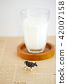 Miniature cow and milk 42007158