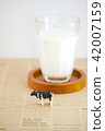 Miniature cow and milk 42007159