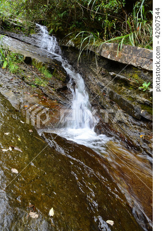 暖東峽谷 滑瀑 瀑布 基隆 溪谷 台灣 夏季 Nuandong Valley waterfall 42007544
