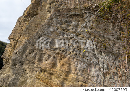 [神奈川縣]攀岩 42007595