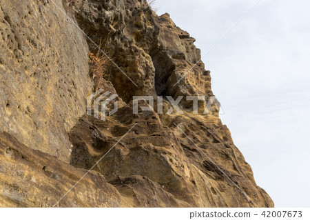 [Kanagawa] Rock climbing 42007673