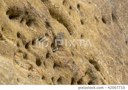 [神奈川縣]攀岩 42007710