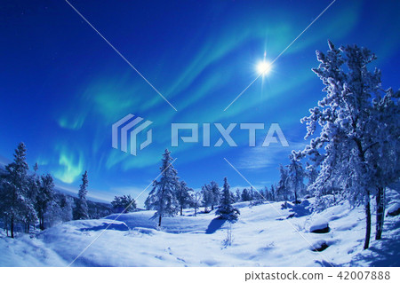  極光 42007888
