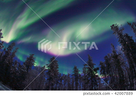  極光 42007889