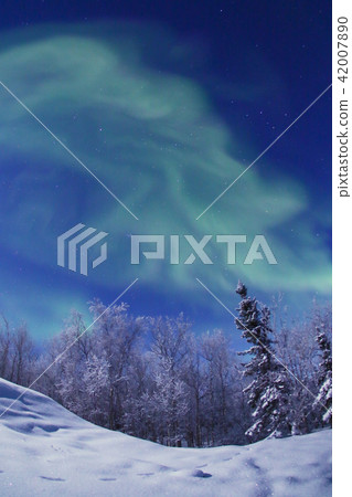  Aurora 42007890