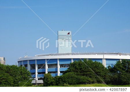 Chiba Marine Stadium 42007897