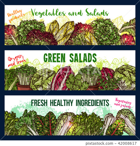 Vector sketch banners of salads vegetables 42008617