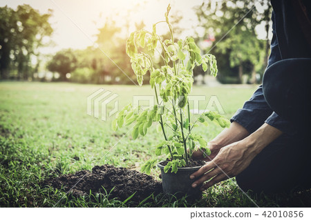 Young man planting the tree in the garden as earth day and save 42010856