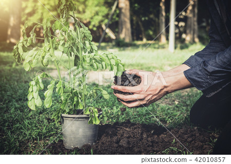 Young man planting the tree in the garden as earth day and save 42010857