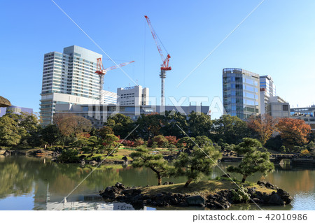 Autumn leaves of Shiba Rikyu Autumn leaves of Shiba Rikyu 42010986