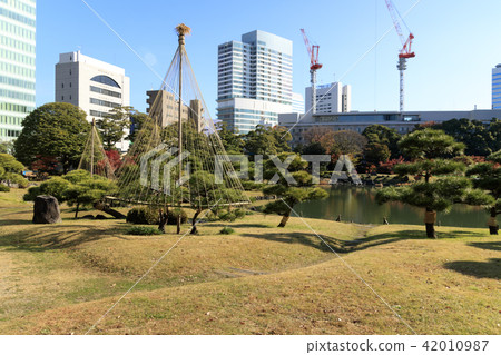 Shiba Rikyu秋葉 42010987