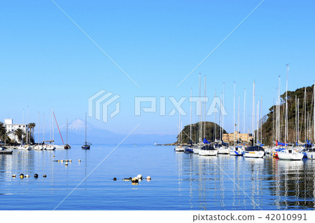 Winter in Miyoshi Bay 42010991