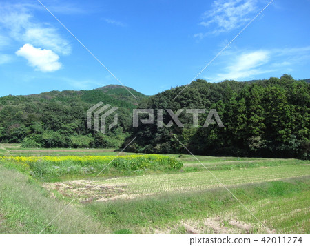 米飯儀式結束後 米飯儀式結束後 42011274