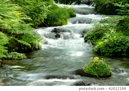 Nakhi Itawa的流動 Nakhi Itawa的流動 42012199