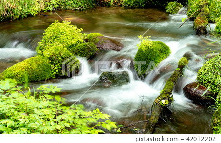 Nakhonzawa's spring spring 42012202