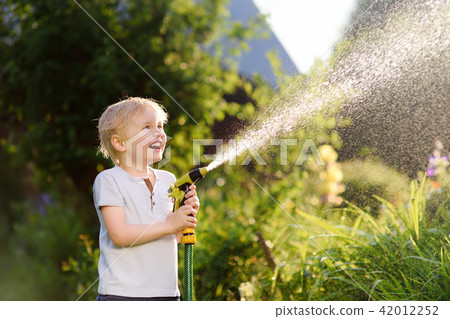 Funny little boy playing with garden hose in sunny backyard Funny little boy playing with garden hose in sunny backyard 42012252