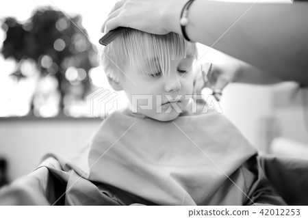 Black and white shot of preschooler boy getting haircut Black and white shot of preschooler boy getting haircut 42012253