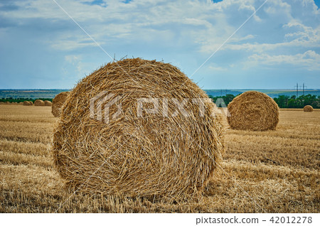 Hay bale field and beautiful blue sky 42012278