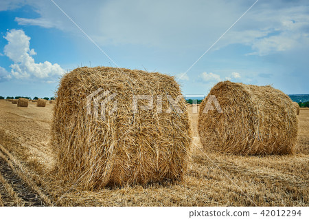 Hay bale field and beautiful blue sky Hay bale field and beautiful blue sky 42012294