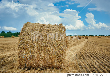 Hay bale field and beautiful blue sky 42012295