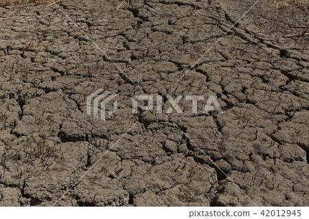 Cracked earth background texture. Cracked earth background texture. 42012945