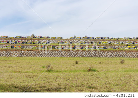 Cemetery 42013231