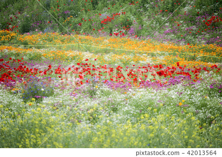 Gyeonggi-do, Paju City, Moonqi Park 42013564