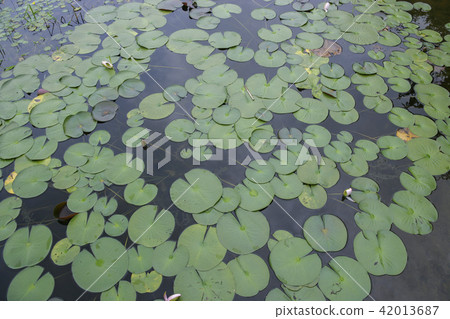 Gyeonggi Province, Paju City, Wall 42013687