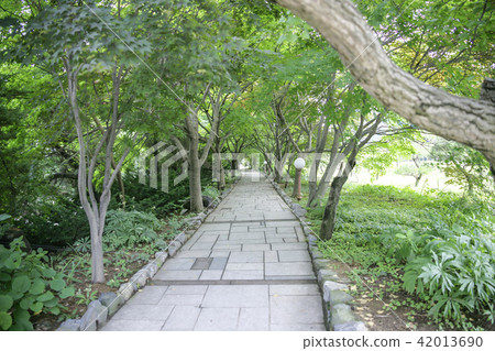 Gyeonggi Province, Paju City, Wall Gyeonggi Province, Paju City, Wall 42013690