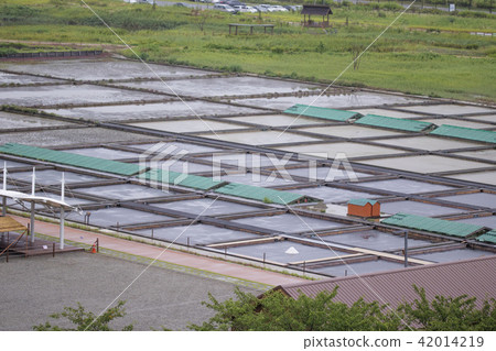 Gyeonggi Province, Siheung City, Ecological Park 42014219