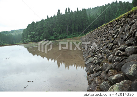 水稻種植前的水稻梯田 水稻種植前的水稻梯田 42014350