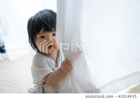 嬰兒 42014635