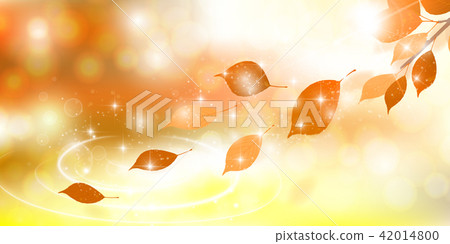 Autumn leaves autumn background Autumn leaves autumn background 42014800