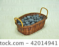blueberry 42014941