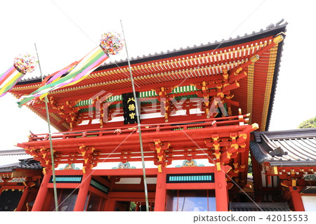 Scenery of Kamakura Hachimangu Shrine 42015553